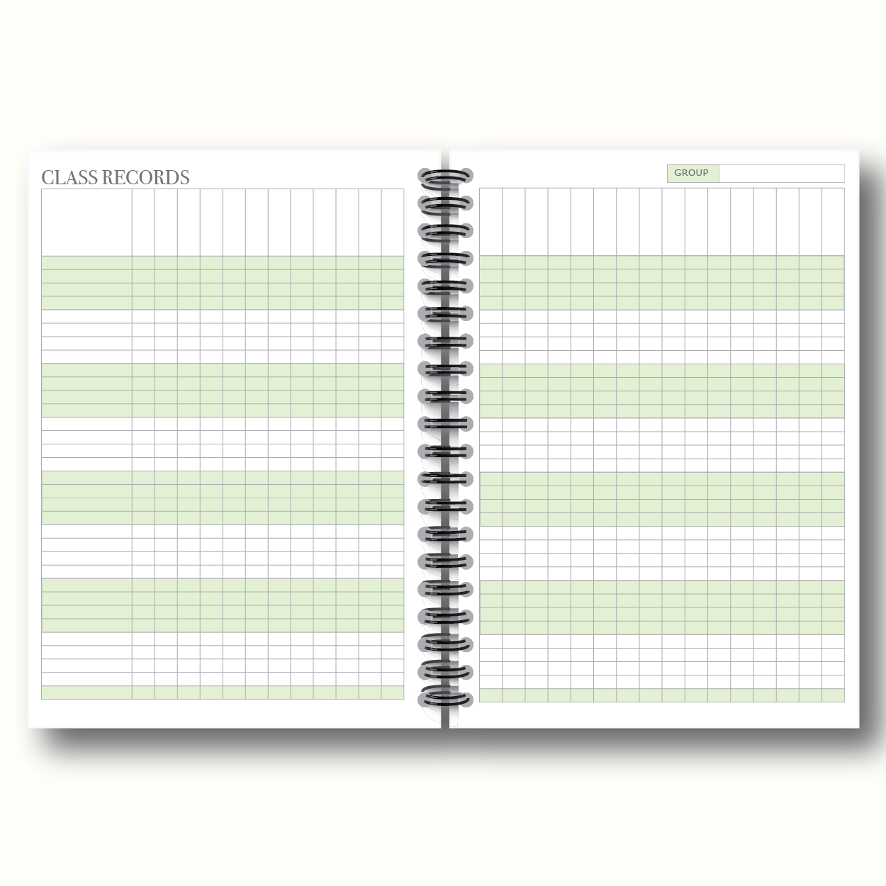 2025–2026 Dated Teacher Planner | A4 Size Affordable