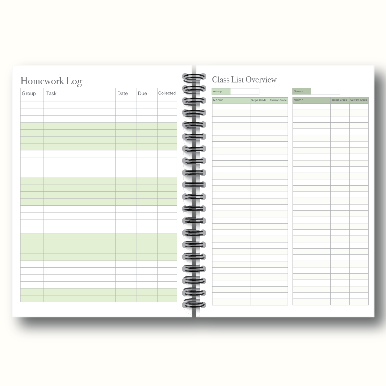 2025–2026 Dated Teacher Planner | A4 Size Affordable